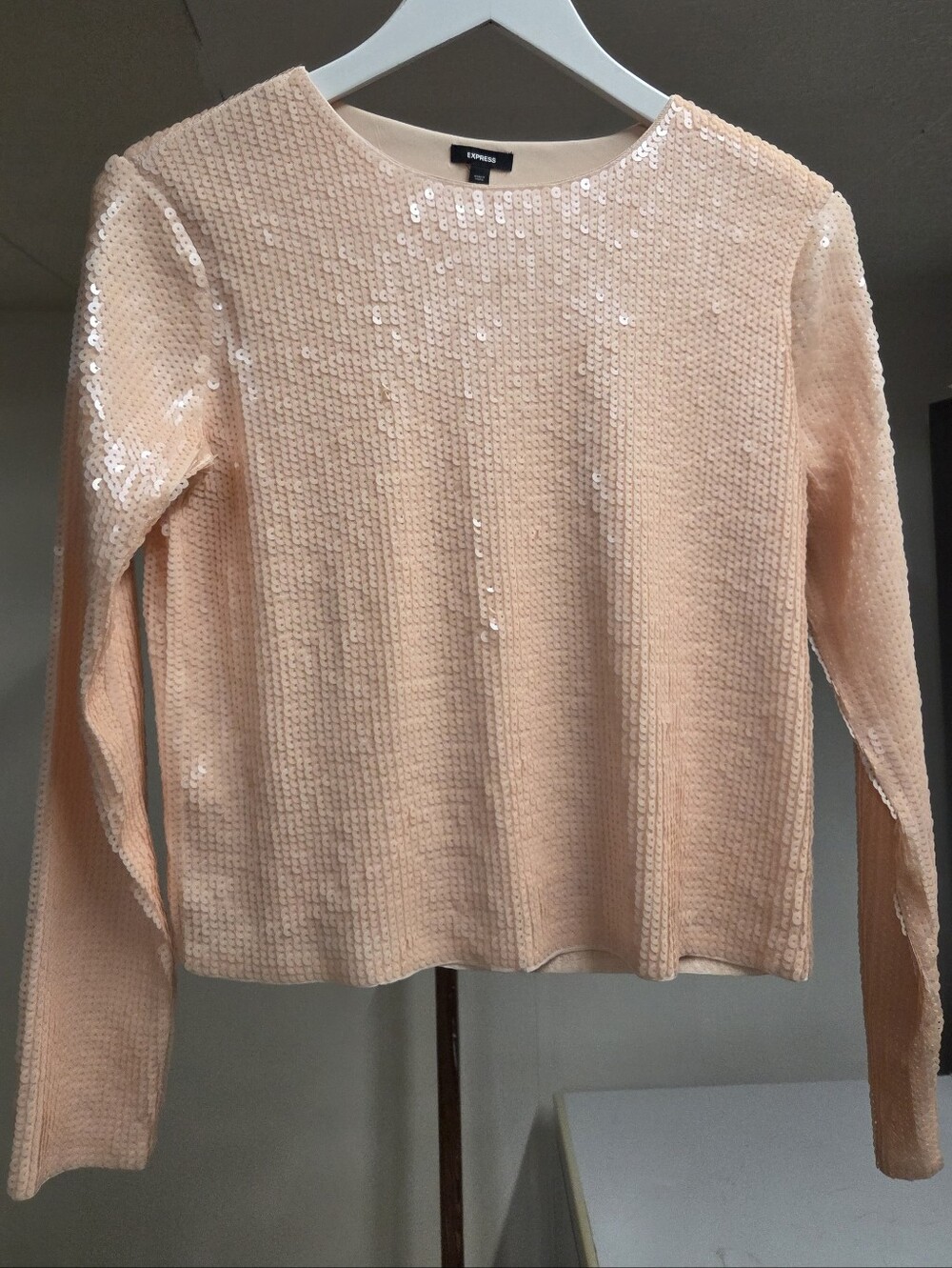 ✨️BNWT Express Sequin Long-Sleeve Blush Top